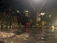 -湖泉半山温泉(湖泉生态园)