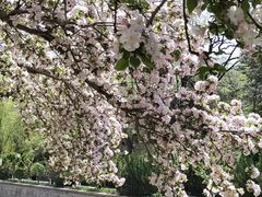 -元大都城垣遗址公园