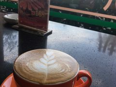 -OLD TREE老树咖啡·西餐厅(台山人工湖店)