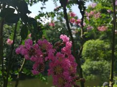 -柳侯公园
