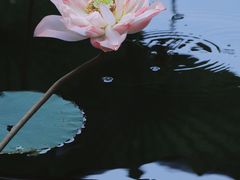 -烈士陵园(地铁站)
