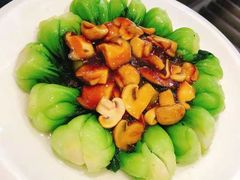 双菇菜心-徐记私厨(半淞园路店)