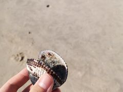 -巽寮湾