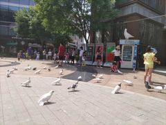 -中粮·祥云小镇