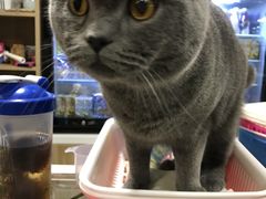 -藦茜花园宠物主题亲子互动体验馆(国顺东路店)