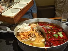 -滇牛云南火锅(桂林路店)