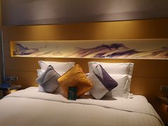 -苏州金鸡湖文博诺富特酒店