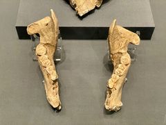 -贵州省博物馆(新馆)