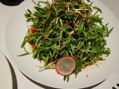 -凤凰湘语(浦东旗舰店)