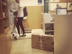 -佩兹宠物医院肿瘤专科·眼科·牙科(黄浦店)