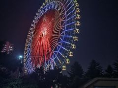 -万泉公园