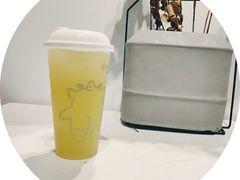 山泉油柑（绿屁屁）-茶力的小怪兽(梅林卓悦汇店)