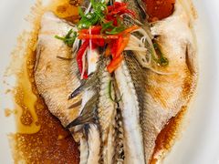 -青梅酒肆PLUS(长白仙岛北路店)