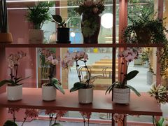 -二酉书店TOYOU BOOKS