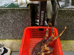 -蚝专家(北滘店)