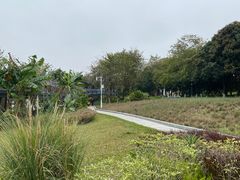 -怡海公园(桂城街道)