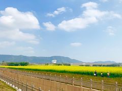 -光明小镇欢乐田园