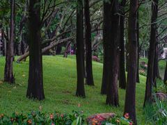 -人民公园(罗湖区)