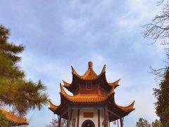-戏马台景区