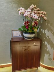 -娇玫荟SPA