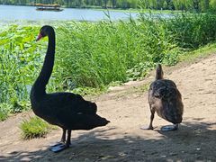 -汉堡王(西直门凯德MALL店)