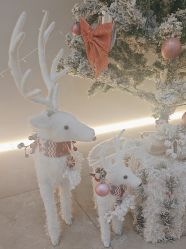 -VE专注问题肌·赛诺龙&科学美肤中心