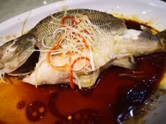 -郑州烤鸭总店