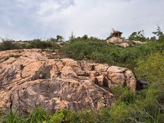 -广东惠东海龟国家级自然保护区