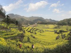 -灵山景区梯田