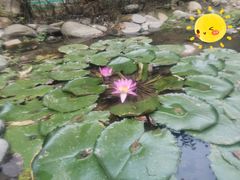 -明月山天沐温泉度假村