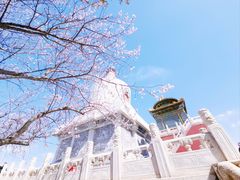 -北海公园