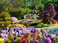 -杭州植物园