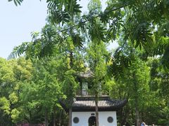 -汇龙潭
