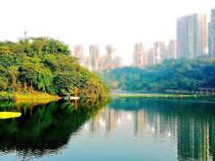 -重庆彩云湖湿地公园