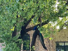 -J Create城市露营咖啡·简餐·宠物(上海动物园店)