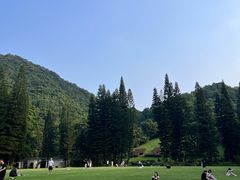 -深圳仙湖植物园