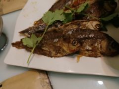 -蝎王府(曙光街店)