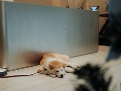 -YCHL Studios健身工作室(市二宫店)