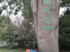 -溱湖国家湿地公园