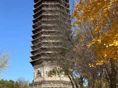 -玲珑塔公园