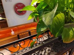 -苗小坛酸汤鱼(酒仙桥店)