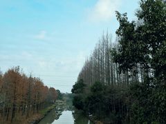 -上海长兴岛郊野公园
