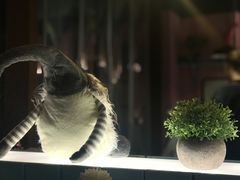 -友达面馆·酸菜鱼面(钱塘区店)