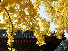 -承恩寺