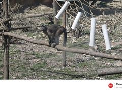 -青岛森林野生动物世界