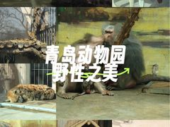 -青岛动物园