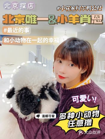 北京探店｜小羊肖恩来北京啦！撸！