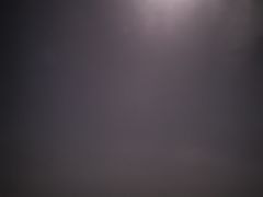 -红树林天天赶海