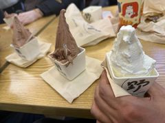 -野人先生Gelato(上海长宁龙之梦店)