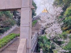 -苏州上方山国家森林公园